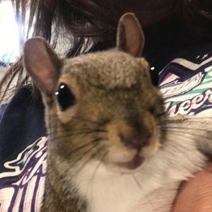 Meet your Posher, Noel